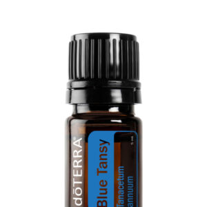 Blue Tansy