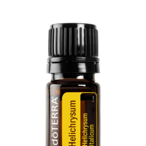 Helichrysum