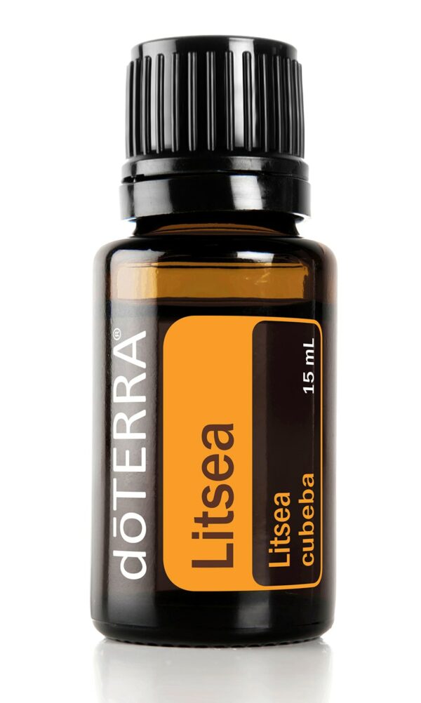 Litsea