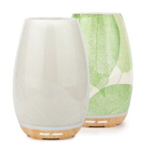aroma-fern
