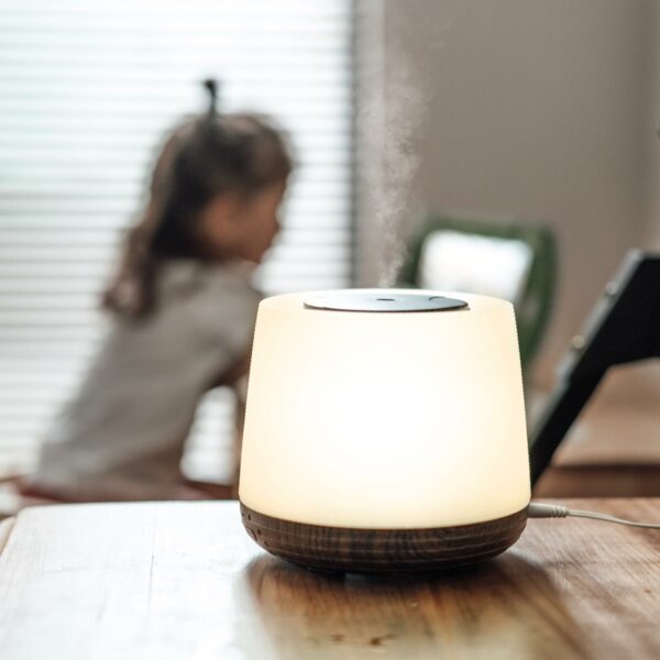 Aroma - Home - Image 4