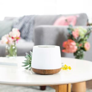 Aroma - Home