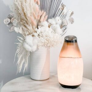 Aroma - Elise