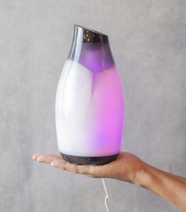 Aroma - Elise - Image 2