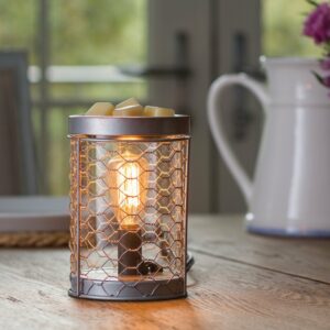 Chicken Wire Edison Bulb Illumination Warmer