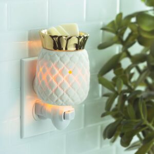 Pineapple Pluggable Warmer