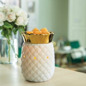 Electrical Melt Warmers